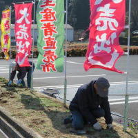 こうづの郷ふれあい市場の花壇がきれいになりました