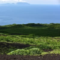 三宅島　その２