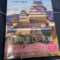 『日本の美しい名城』が堪能出来る入門書！