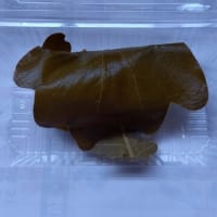 「根比べ」と味噌餡の柏餅と短パンフードとブログの引っ越し