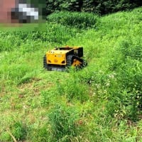 冷やかし中華はじめました