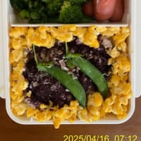 今日のお弁当