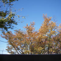 年の瀬ですねぇ