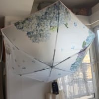 紫陽花の傘