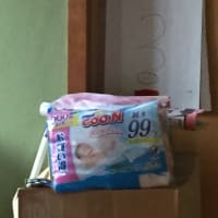 子供版  自宅ウォークラリー