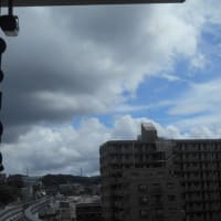 ゲリラ豪雨のち晴れのちゲリラ豪雨～ (-＿-)ｳｰﾑ　そして蒸し暑さ半端ない！