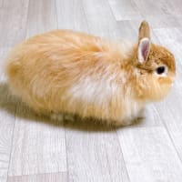 アカウントに主張全部のっけする理由