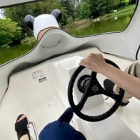 【十勝清水】清水公園の鯉とボート
