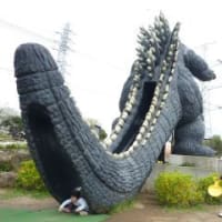 2歳5ヶ月のコテツ