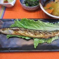 シルクロードの旅～⑤