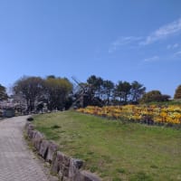 去年ですがもう過去のものになりました