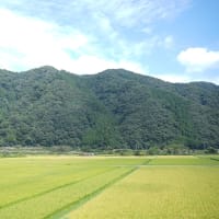 大阪、岡山、山陰、出雲へ（その８）若桜鉄道で郡家から終点の若桜まで乗る