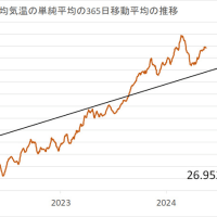  2024年5月19日の日本の気温の平年偏差