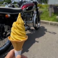 マルメロアイスと社会変化