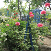 Open garden friends