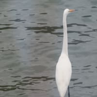 備前焼のツアーです。