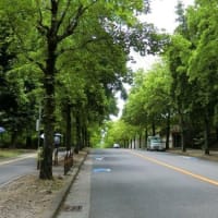 2025.7.11の「三色彩道」です