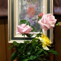  薔薇　２０２５.０５.１４