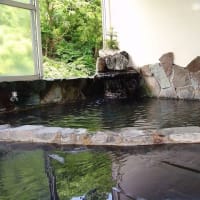 気軽に遊べるラフティング半日ツアープラン in 2024