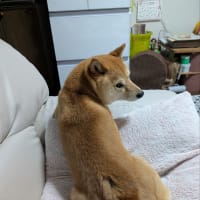 藤井フミヤFUTATABI