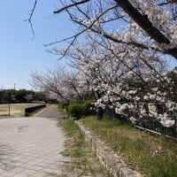 2025年4月初旬