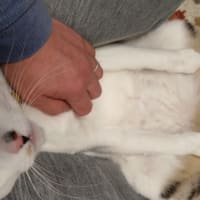 雪がとける、