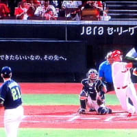 稲の葉っぱにとまる紅シジミ蝶