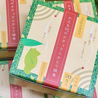 化学物質ゼロ。除虫菊の蚊取り線香