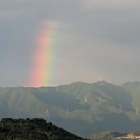 八幡神の言葉　　　　虹と彩雲と新米と