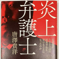 唐沢弁護士