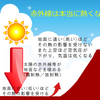 暑さ対策の疑問を解く-１１
