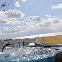 手芸仲間とバスツアー