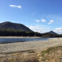 長良川の散歩で出会ったのは‥