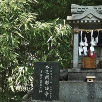 　「夏越の祓」と「富士塚」