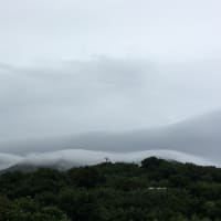 三原山が綿帽子を被っていますよ〜☁️☁️☁️