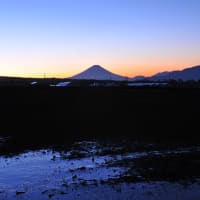 富士見町大規模水田より富士を望む　２０１３