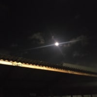 月夜のドロン