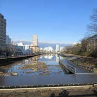 日曜朝のグリーンエクササイズ：中土橋通・千秋公園・秋田駅前を歩きました。
