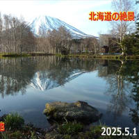 ２０２５　羊蹄山巡り～羊蹄姿見池