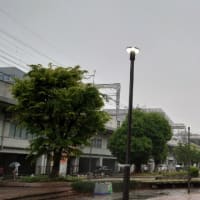 今日の博多６１　【霧雨】