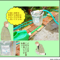 液肥希釈