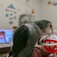 横浜のニュースって・・・