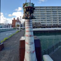 今日から7月です。2025年は折り返し！