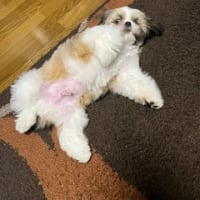 カットに行ってきました。