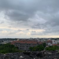 以前に沖縄行った時の写真を見せます②　　2020.5.3.