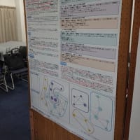 日本福祉心理学会第17回大会＠東京家政大学