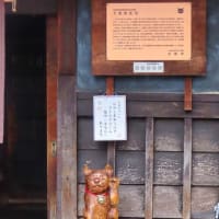 祇園で猫がらみ　先斗町