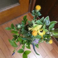 定期便　来たよ！　6月のお花は　元気いっぱい　ひまわり desu ☆彡