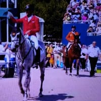 障害馬術個人優勝したお馬さん等等