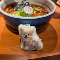 大阪万博行ってきましたの続きの続きです